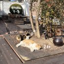 종로-신영-종로-영-190 | 연휴주간, 부지런과 게으름 그 사이 (W7-8)