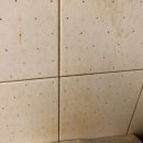 서라아파트 이미지