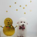 설 grooming 이미지