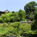 대자연횟집 이미지