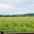 순천만여행 | 순천만습지 후기 갈대열차 순천여행코스 추천 순천 가볼만한곳