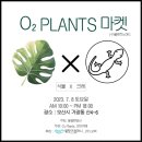 오투마켓