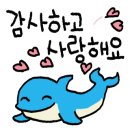 로우파이브 이미지