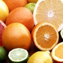 싱싱과일 이미지