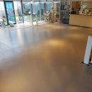 비바도기 이미지