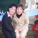 미경 이미지
