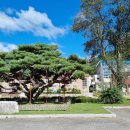 원주굽이길 16코스 황둔쌀찐빵길 이미지