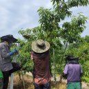 양강면사무소 이미지