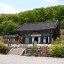 안국사