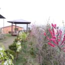 힐링펜션민박 이미지