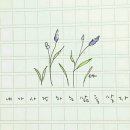 나라의 보배 이미지