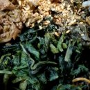 산중민박 이미지