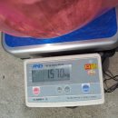 여주-0643 Daum카페