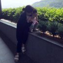 지성 이미지