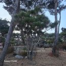 남천농장 이미지