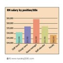 2006년 미국 RN 연봉 Survey(2)-직위별 이미지