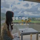 라이넨네 풀빌라 스테이 | 제주 서쪽 애월 협재 감성 숙소 멀왓스테이 : 10만원 미만 한라산뷰 에어비앤비