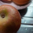 황토방인심펜션 이미지