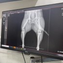 강아지 슬개골 치료에 좋은 근육강화 케어 솔루션 : 강아지 물리치료기 마요펫 MYOPET