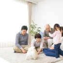 (주)더이미지뱅크코리아
