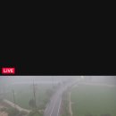 월야5일시장 이미지