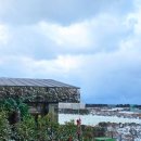 빌레우티 이미지