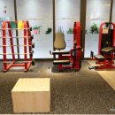 뮤토퍼스널트레이닝 이미지