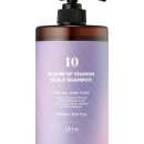 샤론미용실 이미지