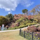 호명호수(갤러리) 이미지