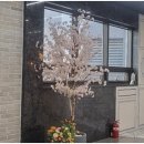 자이세탁소 이미지