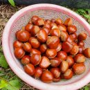 장인농장 이미지