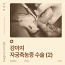 대흥동물병원 이미지