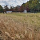 미르공인중개사사무소 이미지