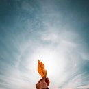 똑순이부동산공인중개사사무소 이미지