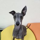 온여고길 이미지