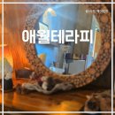 세기카케어 | 애월마사지 제주 여행 피로 제대로 풀리는 애월테라피 타이마사지 재방문후기