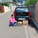장 이용소 이미지
