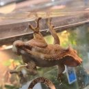 (주)크레푸드 이미지