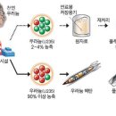 평리유통