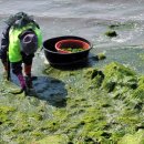 장흥목장 이미지