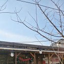 하우고개목장 이미지