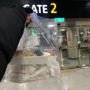 마카롱 제작소 이미지