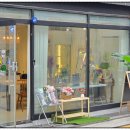 레플레르 이미지