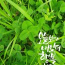 행운가득 네이버블로그