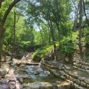 장척계곡식당 이미지