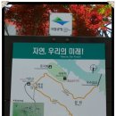 월악산 국립공원 제천 가은산, 금수산 산행후기 이미지