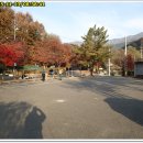 (대구) 팔공산 ; 학생야영장 코스 (동굴)-106번지점下 (절터) (25.11.23) 이미지