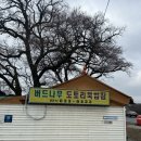 버드묵 | 경기 근교 여행 이천 로컬 맛집 '버드나무 도토리묵밥집'
