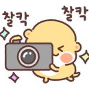 카페루스터
