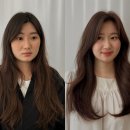 화사한미용실 - 아산시 | 파주 운정 미용실 화사한 소프트 브라운 메이원헤어 후기